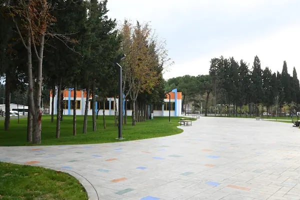 Bilim Samsun - Resim 16