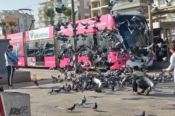 Karşıyaka Tramvay Durağı - Resim 19
