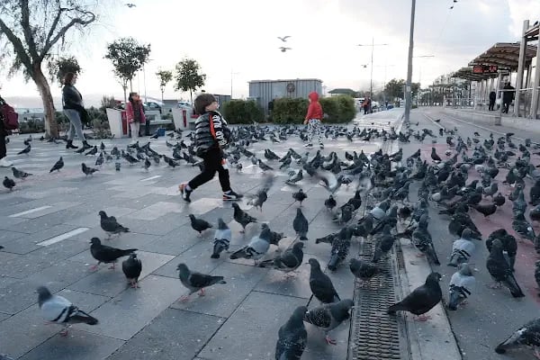 Karşıyaka Tramvay Durağı - Resim 7
