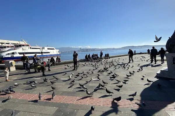 Karşıyaka Tramvay Durağı - Resim 13