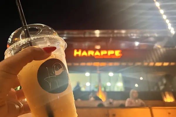 Harappe - Resim 20