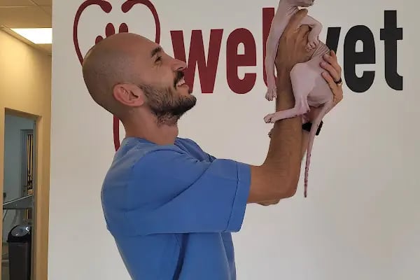 WellVet Veteriner Sağlık Merkezi - Resim 5
