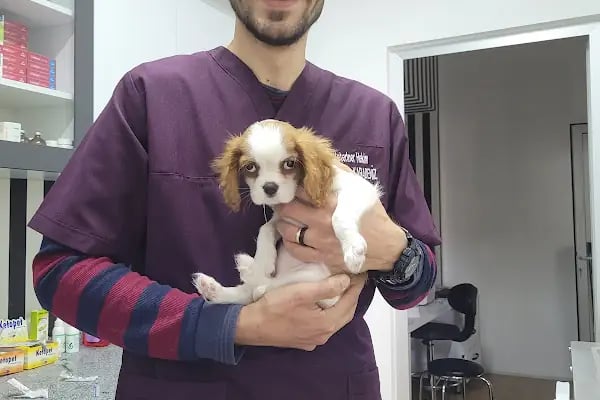 WellVet Veteriner Sağlık Merkezi - Resim 20