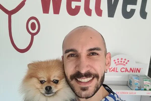 WellVet Veteriner Sağlık Merkezi - Resim 19