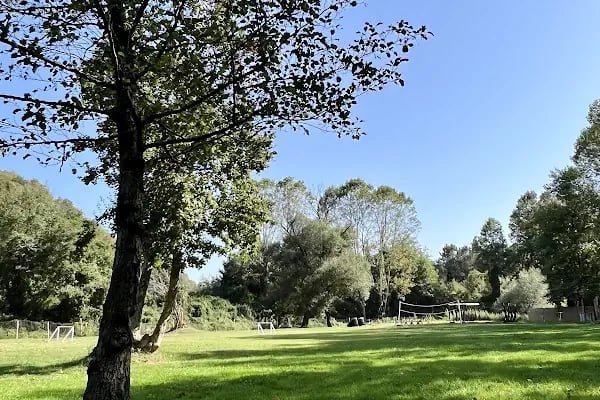 TÜRKİYE’NİN EN BÜYÜK PAINTBALL SAHASI TAKTIKAL PAINTBALL - Resim 12