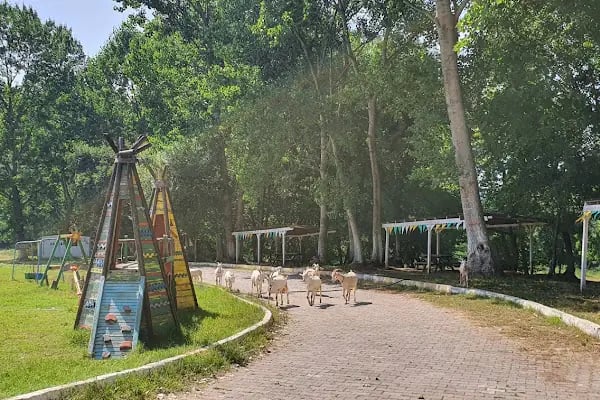 TÜRKİYE’NİN EN BÜYÜK PAINTBALL SAHASI TAKTIKAL PAINTBALL - Resim 14