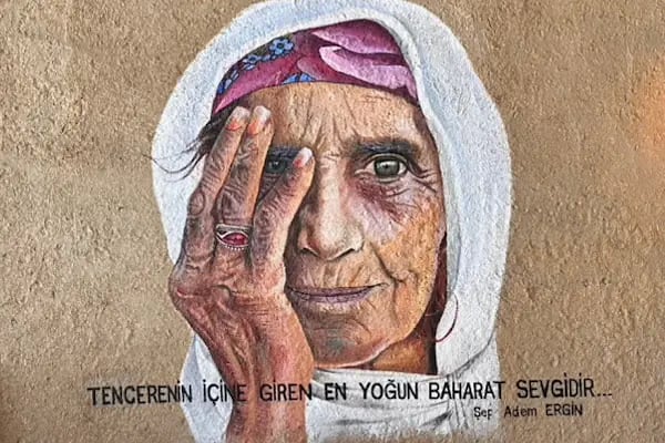 Van Menceli - Resim 8