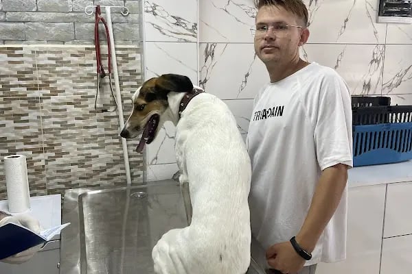 Pet Guard Veterinary - Resim 12
