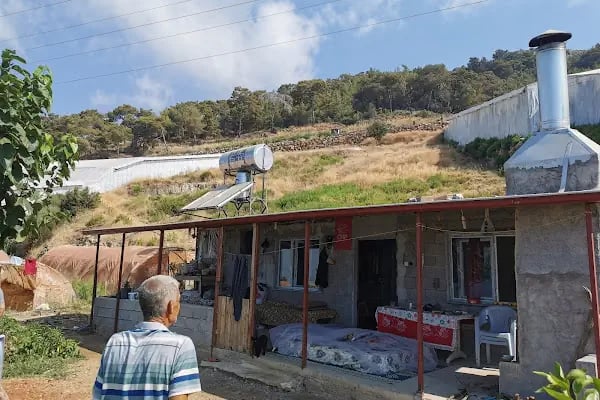 Pullu 1 Tabiat Parkı - Resim 3