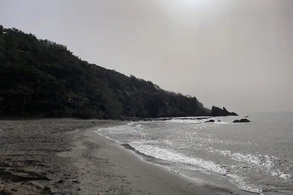 Pullu 1 Tabiat Parkı - Resim 2