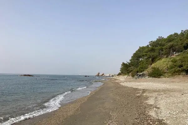Pullu 1 Tabiat Parkı - Resim 5