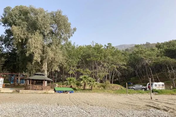 Pullu 1 Tabiat Parkı - Resim 6