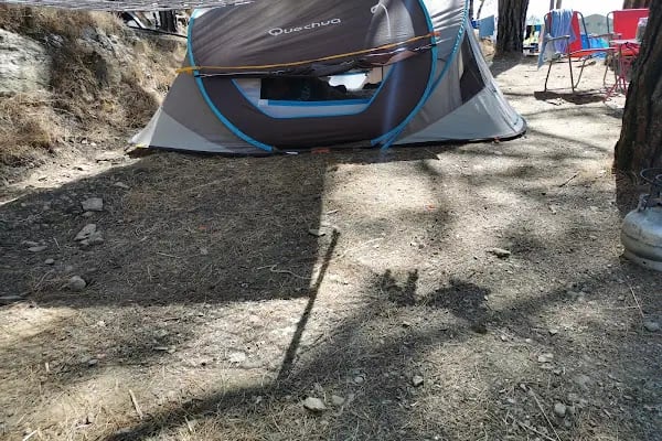 Pullu 1 Tabiat Parkı - Resim 11