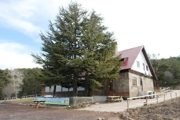Karagöl Dağ Evleri - Resim 10