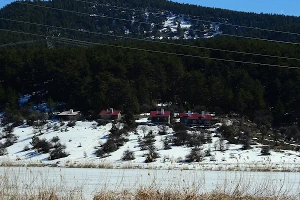 Karagöl Dağ Evleri - Resim 14