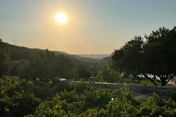 Suva Winery - Resim 14