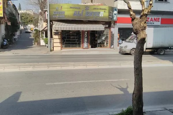 Ali Enver Kundura - Resim 4