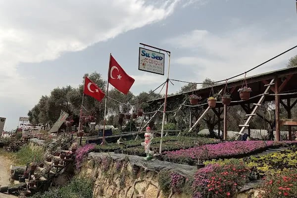 Su Sev Çiçekçilik - Resim 5