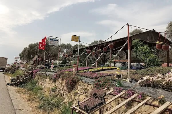 Su Sev Çiçekçilik - Resim 3