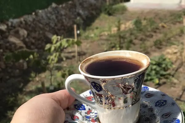 Engin yurt Bahçe - Resim 2