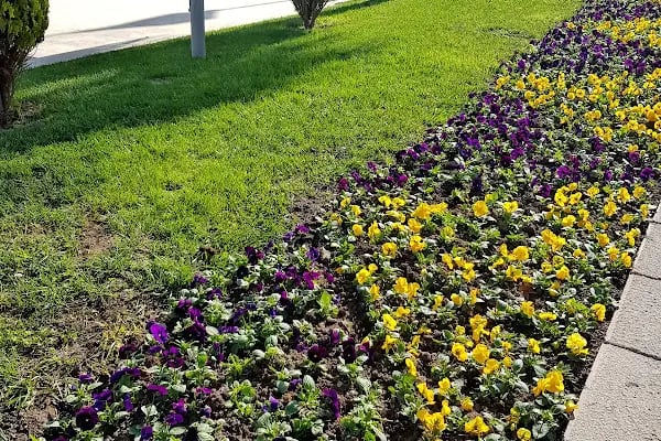 Denizli Valiliği - Resim 15