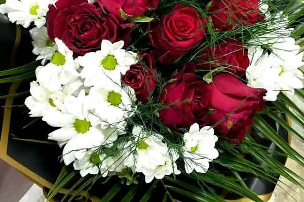 Avcılar çiçek/ Lal Flower - Resim 19