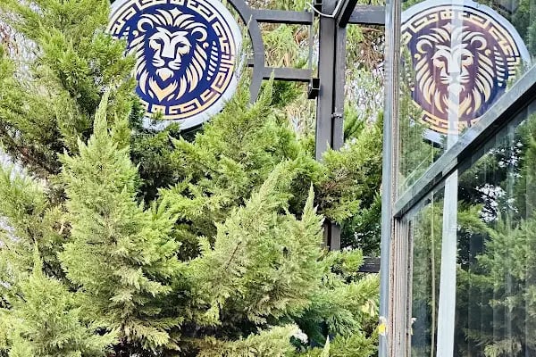 Lion events 3 - Resim 17