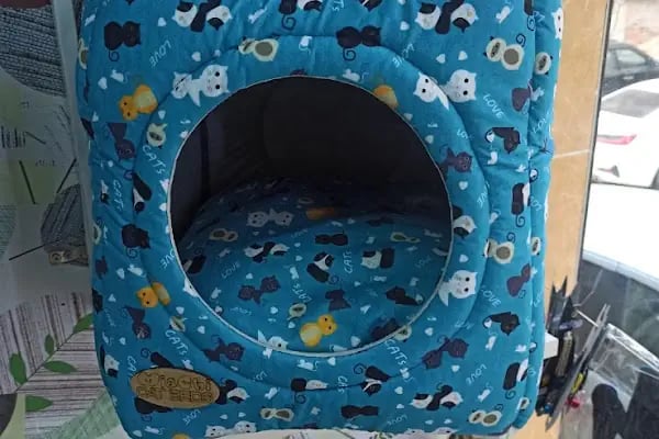 Buse Kuş ve Balık Petshop - Resim 14