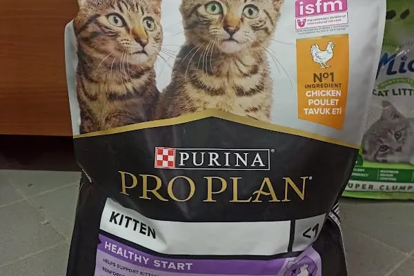 Buse Kuş ve Balık Petshop - Resim 9