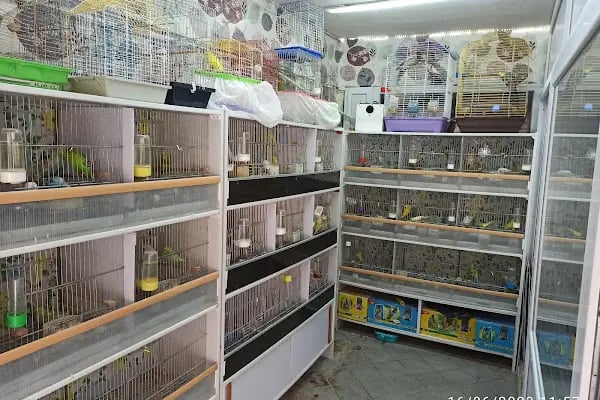 Buse Kuş ve Balık Petshop - Resim 2