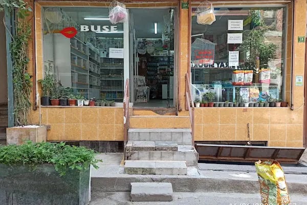 Buse Kuş ve Balık Petshop - Resim 1