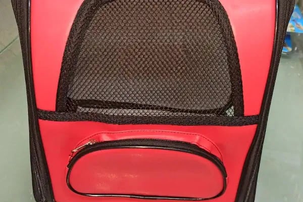 Buse Kuş ve Balık Petshop - Resim 19