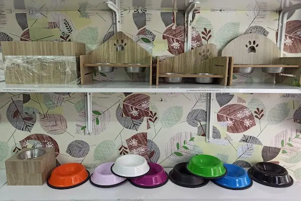 Buse Kuş ve Balık Petshop - Resim 8