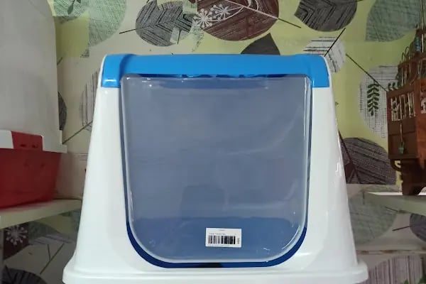 Buse Kuş ve Balık Petshop - Resim 16