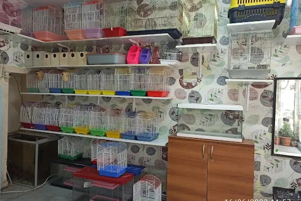Buse Kuş ve Balık Petshop - Resim 20