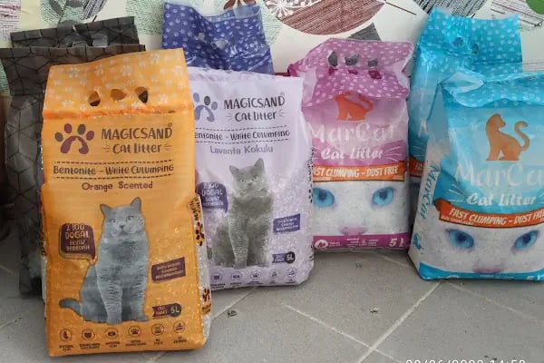 Buse Kuş ve Balık Petshop - Resim 18