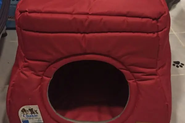 Buse Kuş ve Balık Petshop - Resim 5