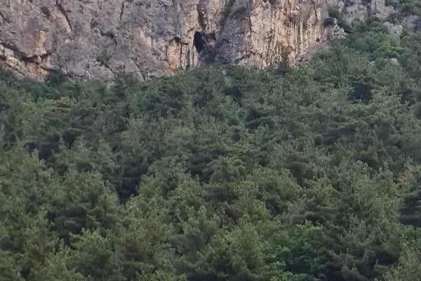 Şelale Yeşil Vadi Et Mangal - Resim 5