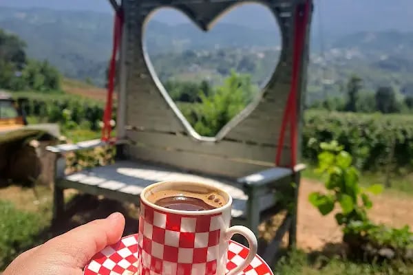 Şelale Yeşil Vadi Et Mangal - Resim 10