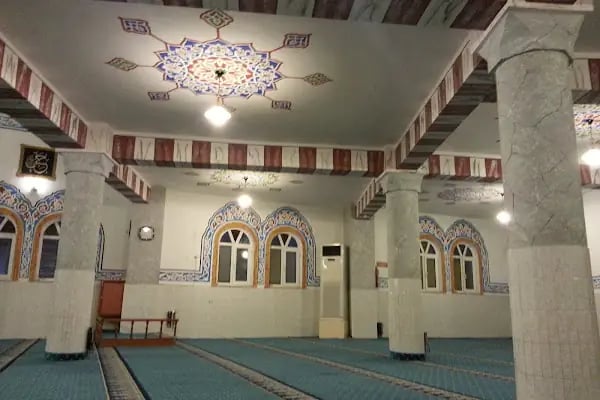 Altıntaş Cami - Resim 11