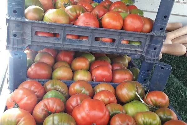 Belediye Evleri Semt Pazarı - Resim 8