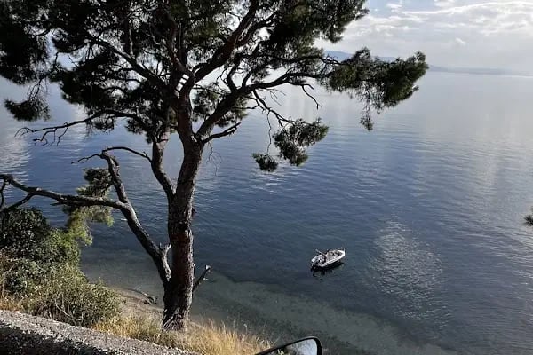 Kral sitesi - Resim 2