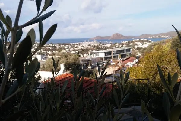 Sülüklü Cami - Resim 5