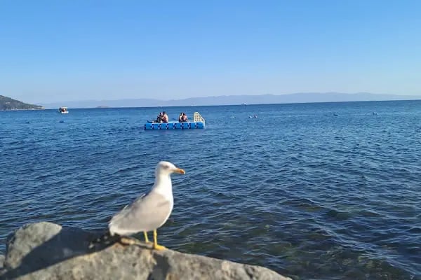 Heybeli Fitness &amp; SPA Club - Resim 7