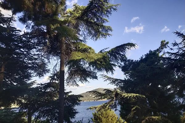 Heybeli Fitness &amp; SPA Club - Resim 20