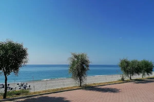 Martı Bungalow - Resim 15