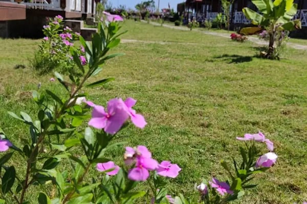 Martı Bungalow - Resim 18