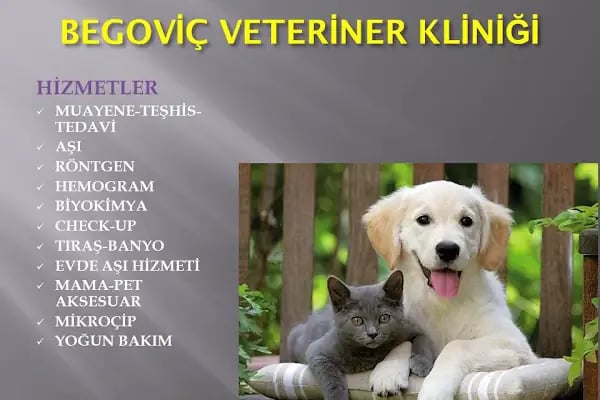 Begoviç Veteriner Kliniği - Resim 4
