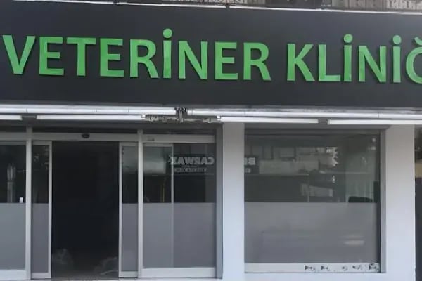 Begoviç Veteriner Kliniği - Resim 3