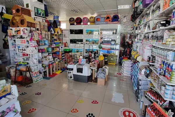 RED PETSHOP - Resim 3